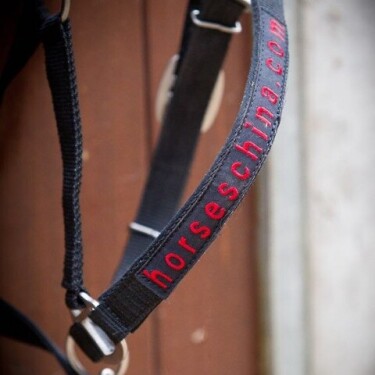 whatsapp-image-2018-10-09-at-10-42-05-1-20181011090552